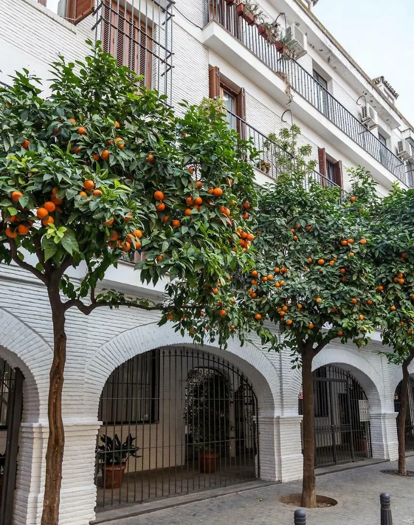 Nuevo Apartamento Casco Antiguo Sevilla Wifi Ac Apartment Seville